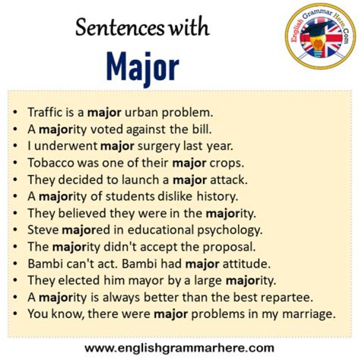 What should my major be
