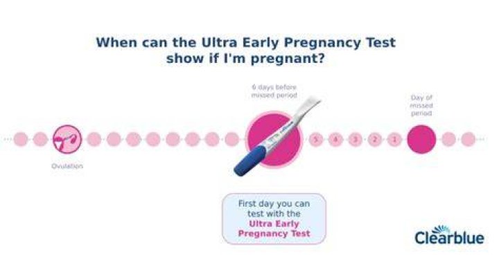 Whats the earliest you can take a pregnancy test