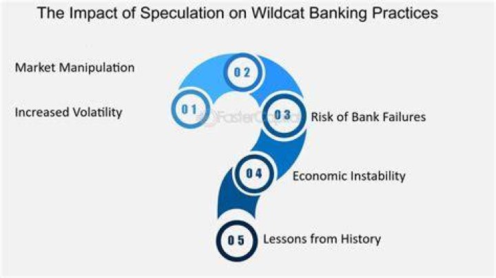 Wildcat Banking - How To Discuss