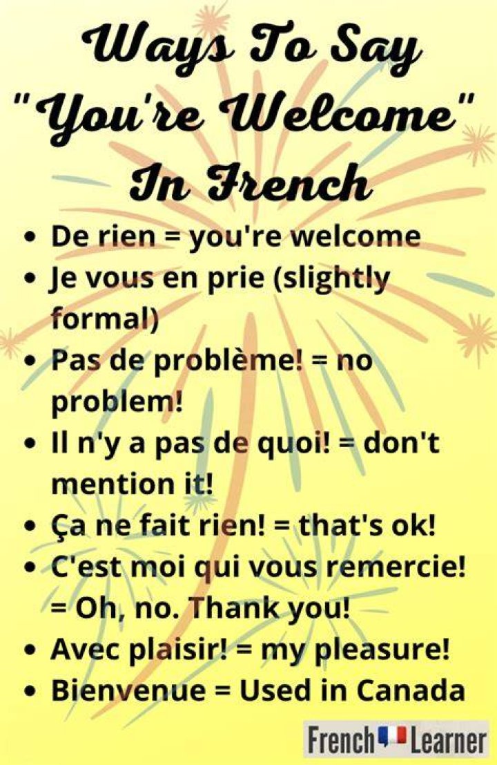 You Re Welcome In French