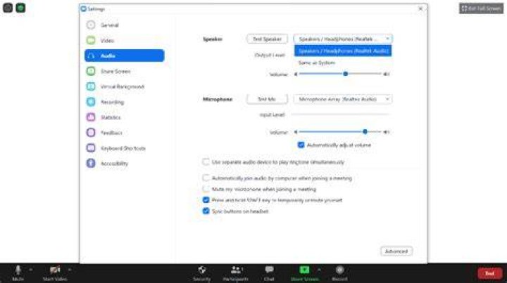 Zoom meeting audio issues - How To Discuss